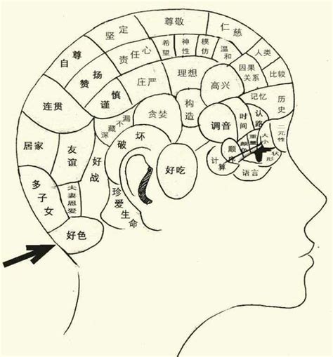 頭形 相學|相學十觀解命運